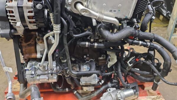 Ford 2.0 TDCi EcoBlue Engine 2022