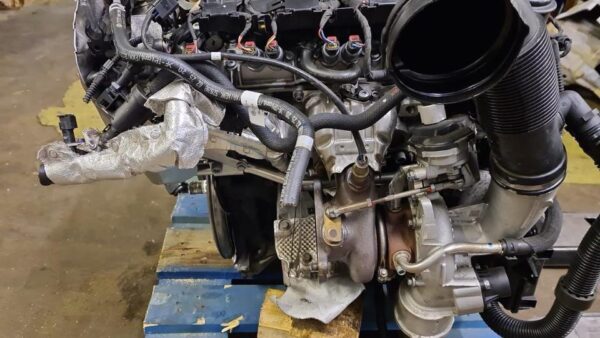 Audi Q5 2.0 TSI Engine – DLG 2020