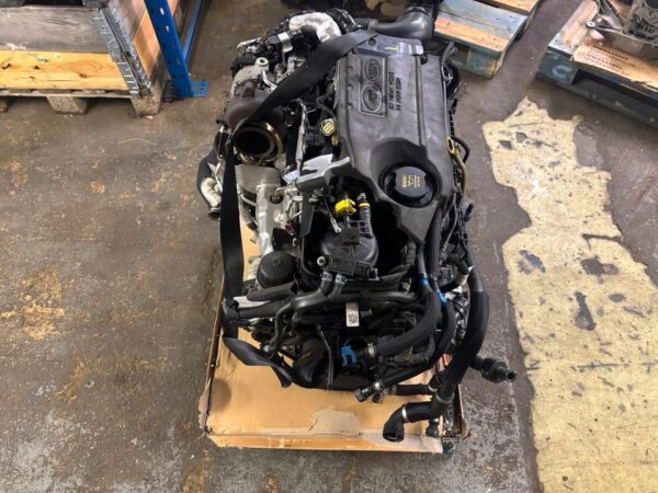 204DTY engine replacement